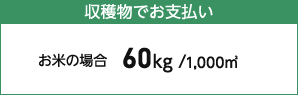 収穫物でお支払い お米の場合60kg /1,000㎡